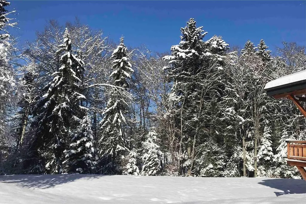 Chalet Au Coeur Des Bois Larringes 0*,