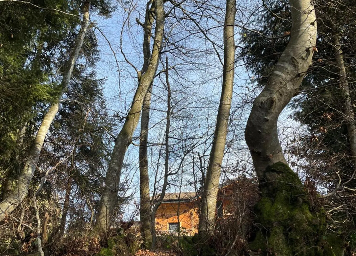 Chalet Au Coeur Des Bois Larringes